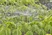 Sproeier 360°