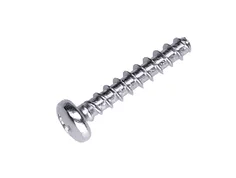 Screw Screw