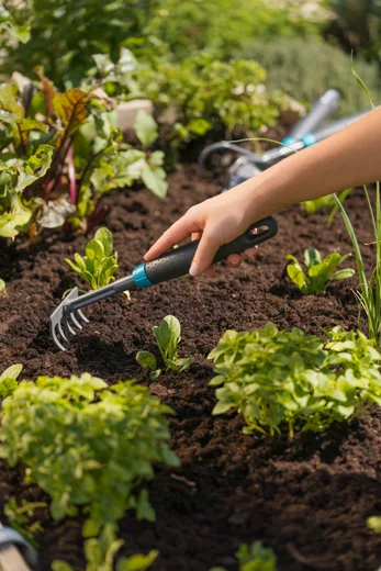 Flower rake