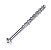 Screw Screw