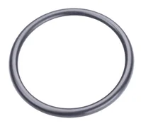 O-Ring 20x2 O-Ring 20x2