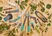 Garden Secateurs B/S-M