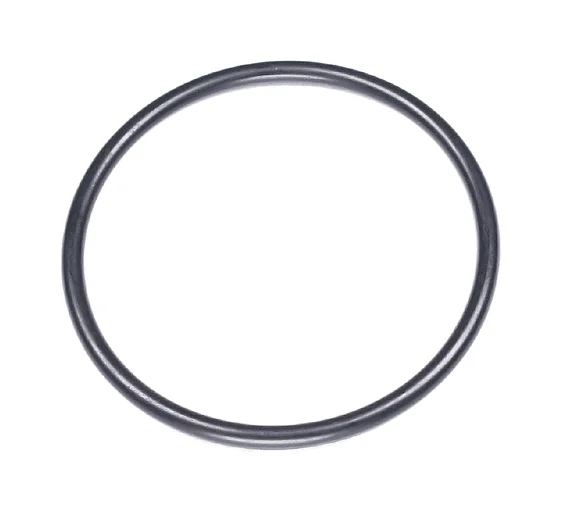 O-Ring 55x4