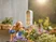 ClickUp! Putuka hotell, FSC® 100%