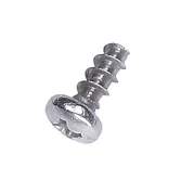 Screw Screw