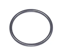 O-Ring 26,5X2,2 O-Ring 26,5X2,2