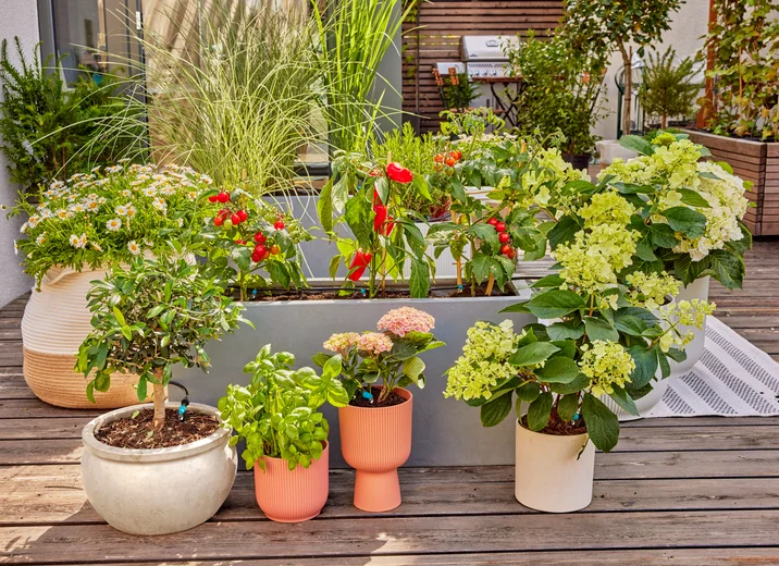Tropfbewässerung Set Terrasse (30 Pflanzen)