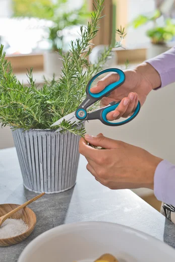 HerbCut