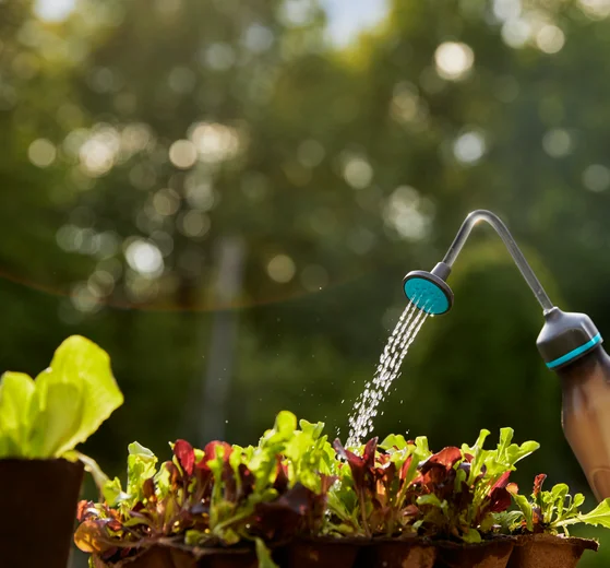 Pulvérisateur à pipette 0,45L - GARDENA
