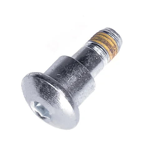 Screw, long