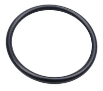 O-Ring 24X2 O-Ring 24X2