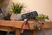 Cleansystem Window Cleaner squeegee, washer, for outside windows