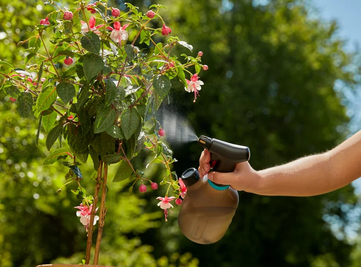 Pump Sprayer 1 L