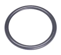O-Ring 22x2,5 O-Ring 22x2,5