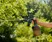 Pump Sprayer 1 L