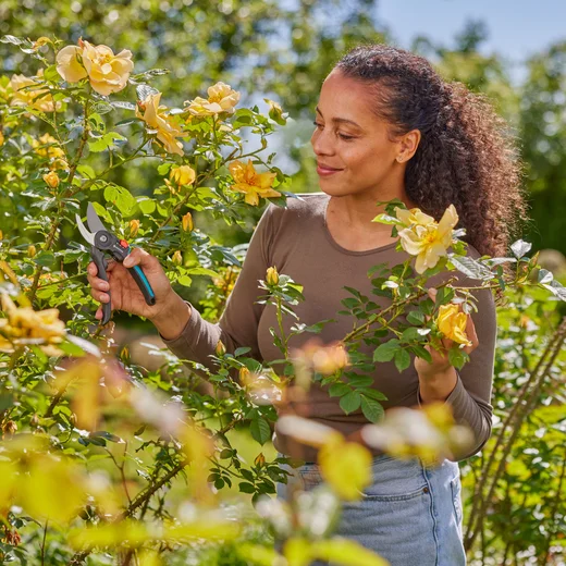 Secateurs PremiumCut Flex