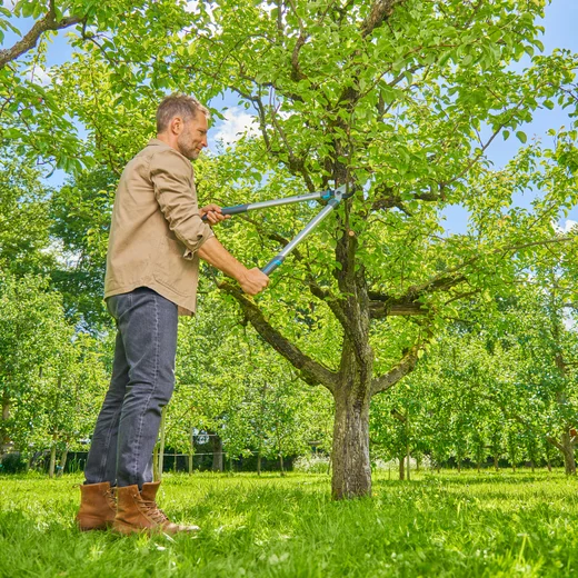 Takkenschaar EasyCut L, bypass-snede, ideaal voor groen hout
