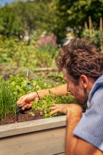 Goutteur en ligne réglable et régulateur de pression 1 - 8 l/h