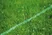 Sprinkler Hose15m