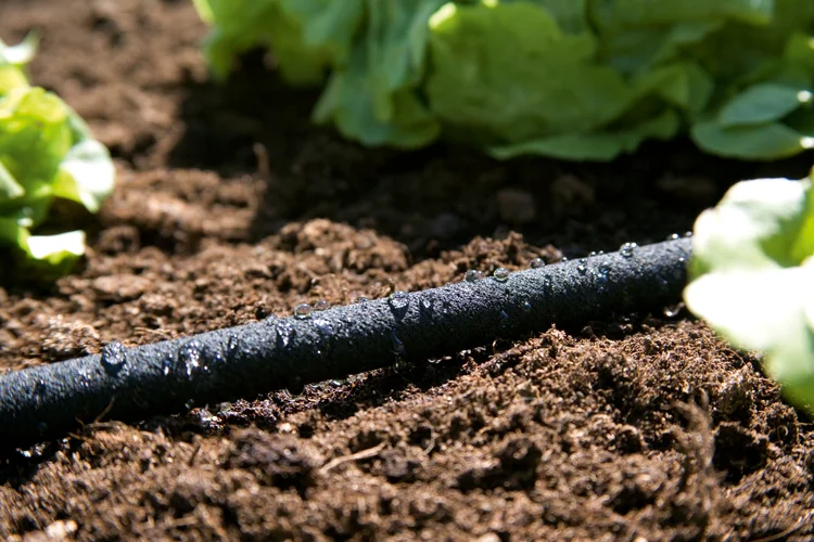 Soaker Hose 15 + 5 m Display