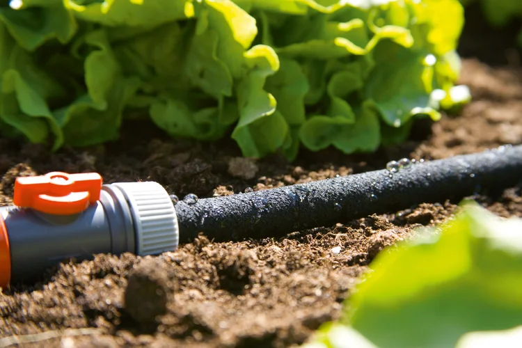 Soaker Hose 15 + 5 m Display