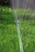 Sprinkler Hose 7.5m