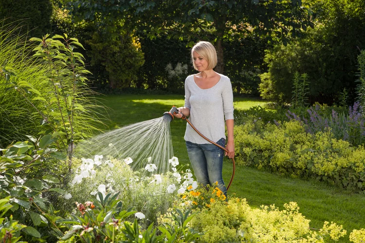 Frost Proof 2-in-1 Spray Nozzle