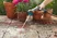 Comfort Cleaning Sprayer