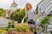 Pulverizador de varanda city gardening