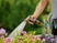Pulverizador de varanda city gardening