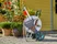 Schlauchwagen CleverRoll M Easy Metall Set