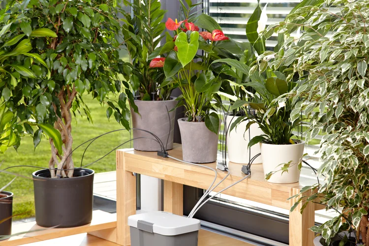 Set pentru udat pe durata concediului + container de 9l