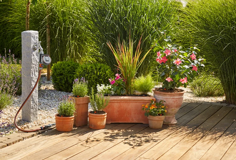 Automatic Drip Irrigation Starter Kit - Medium