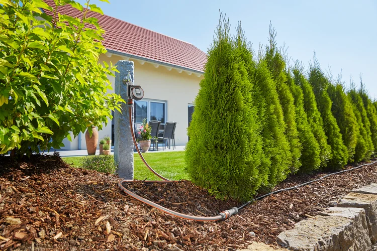 Start Set micro-irigare M cu programator pentru rânduri de plante