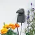 Starter pompa 24 V