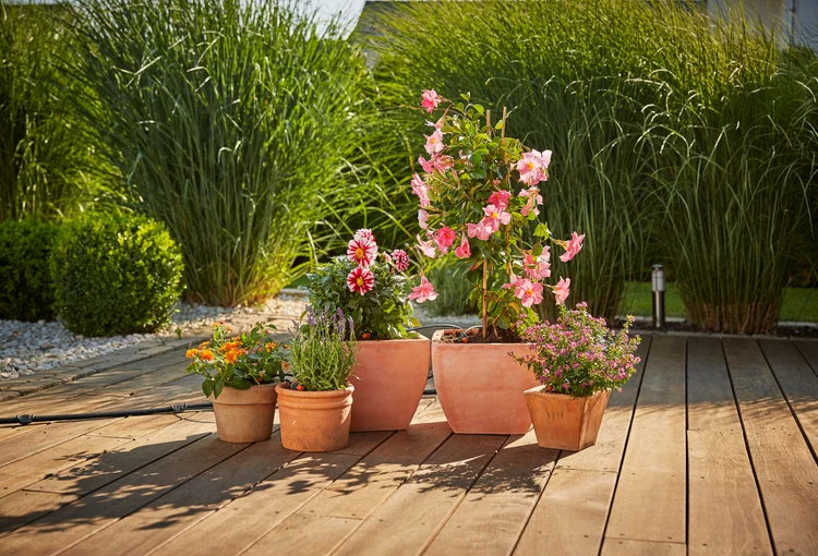 Extensie pentru Set Micro-Irigare