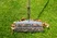 NatureLine Lawn Rake FSC 100 %