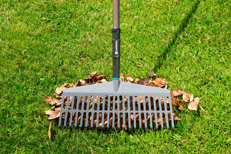 NatureLine Lawn Rake FSC 100 %