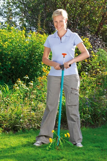 Висмикувач бур'янів