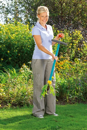 Висмикувач бур'янів