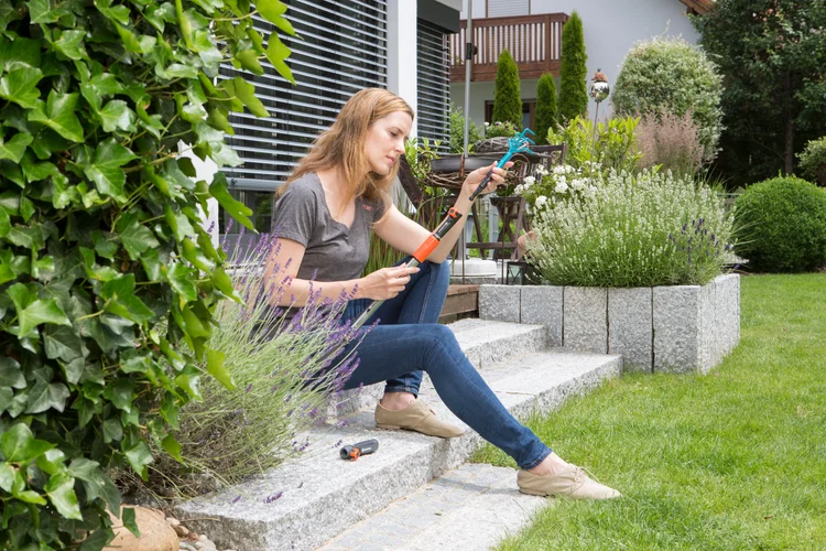Hand Weeder