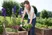Hand Trowel