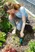 Weeding Trowel