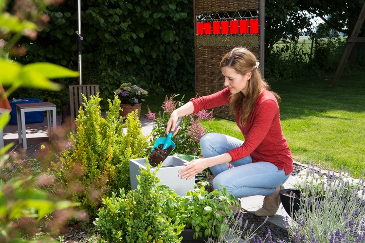 Large Hand Trowel