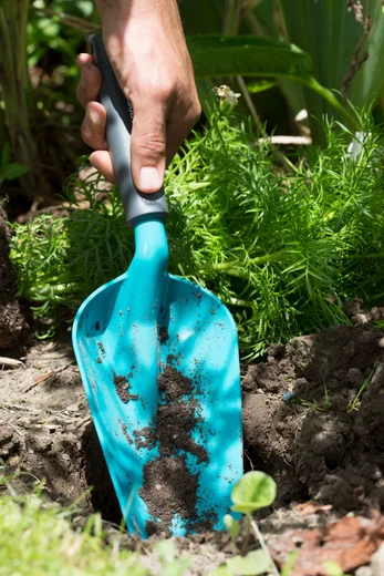 Large Hand Trowel
