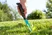 Weeding Trowel