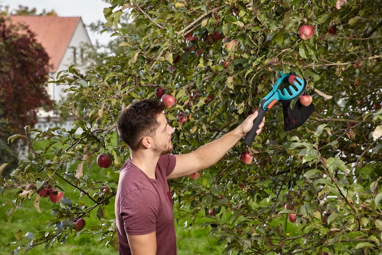 combisystem Fruit Picker