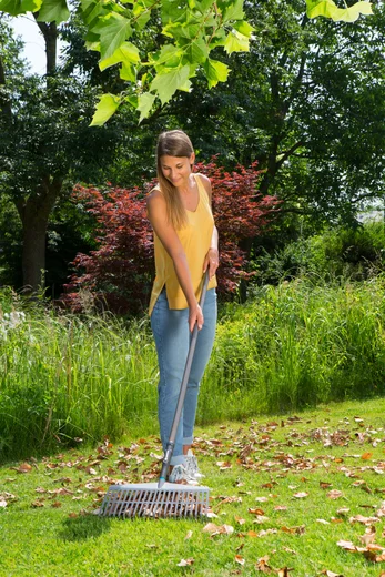 NatureLine Lawn Rake FSC 100 %