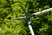 Heckenschere TeleCut