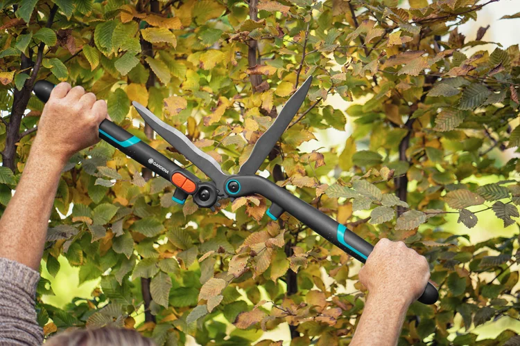 Heckenschere 2in1 EnergyCut